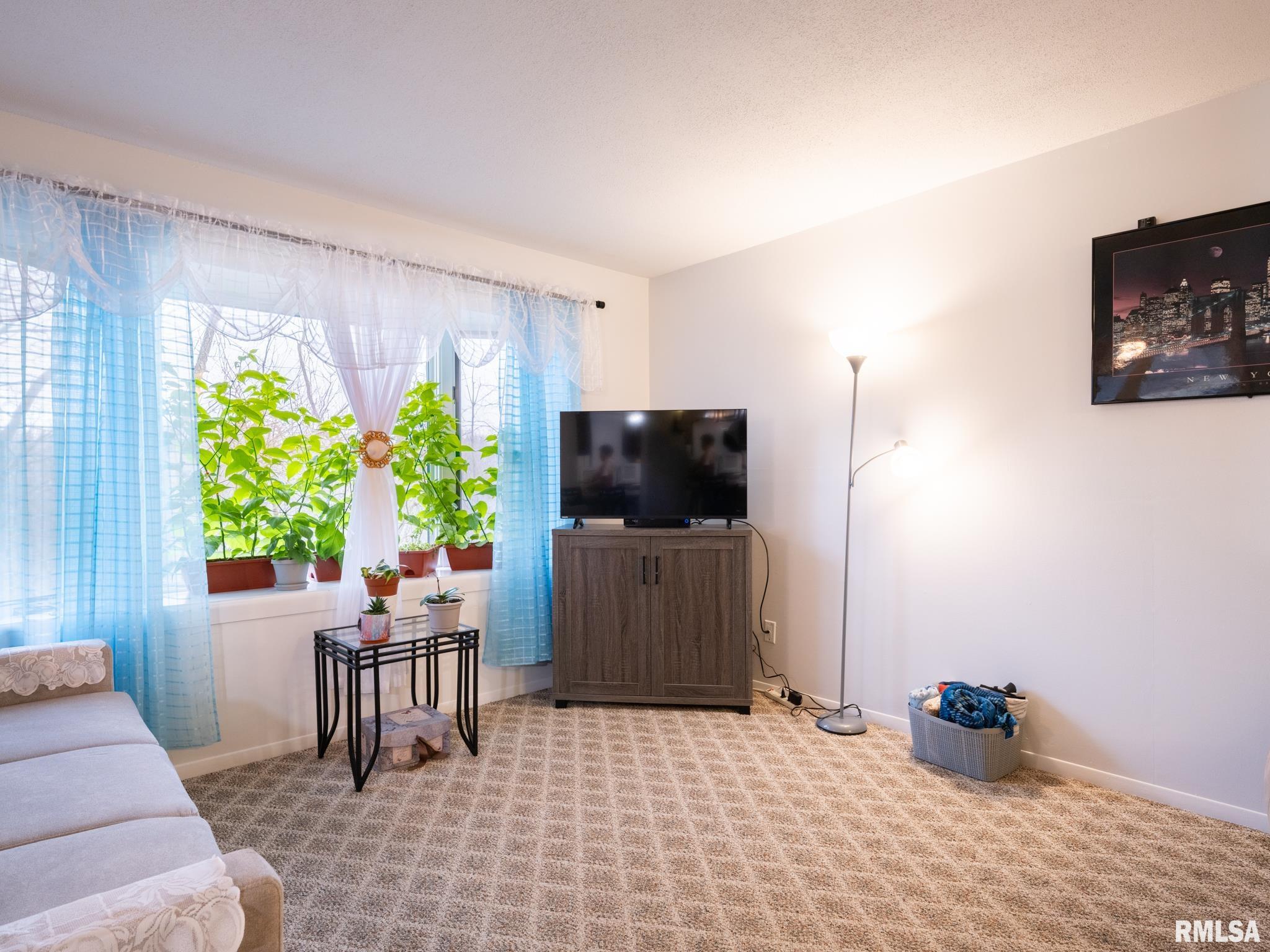 6300 North Allen Road, Unit 13 Peoria, IL 61614 - Photo 7 of 53 Gallery Image 7