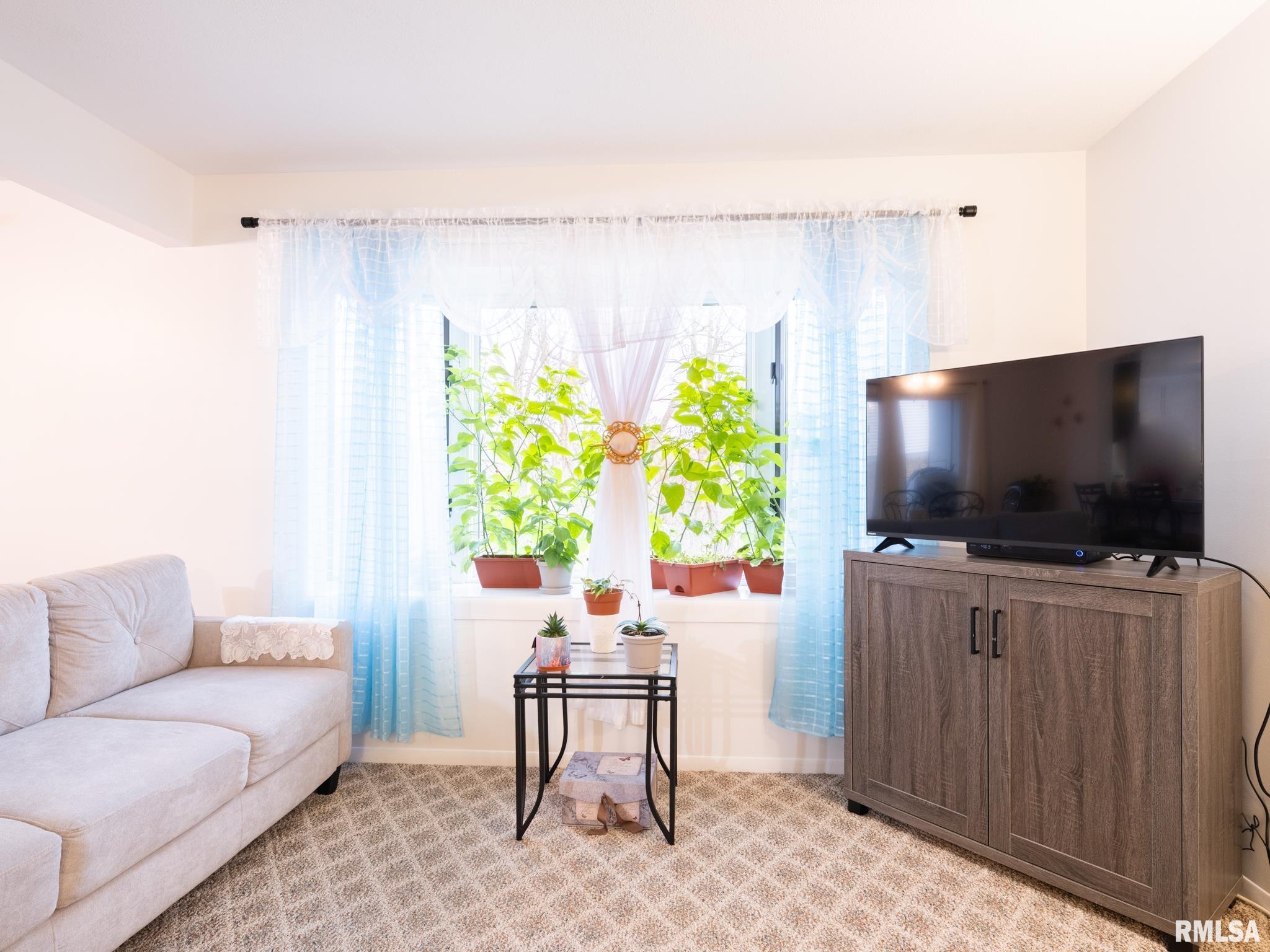 6300 North Allen Road, Unit 13 Peoria, IL 61614 - Photo 8 of 53 Gallery Image 8