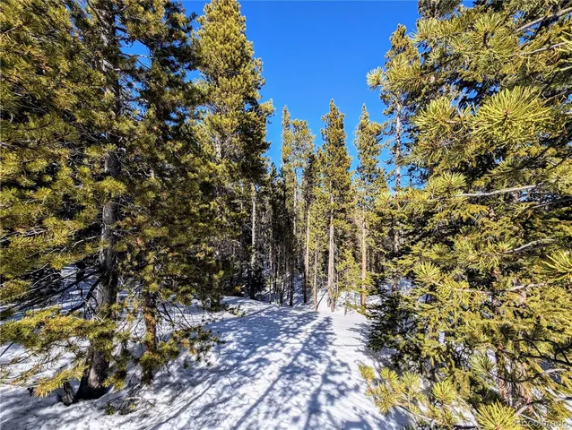 $39,000 | Lot 234 Alice Road, Idaho Springs, CO 80452