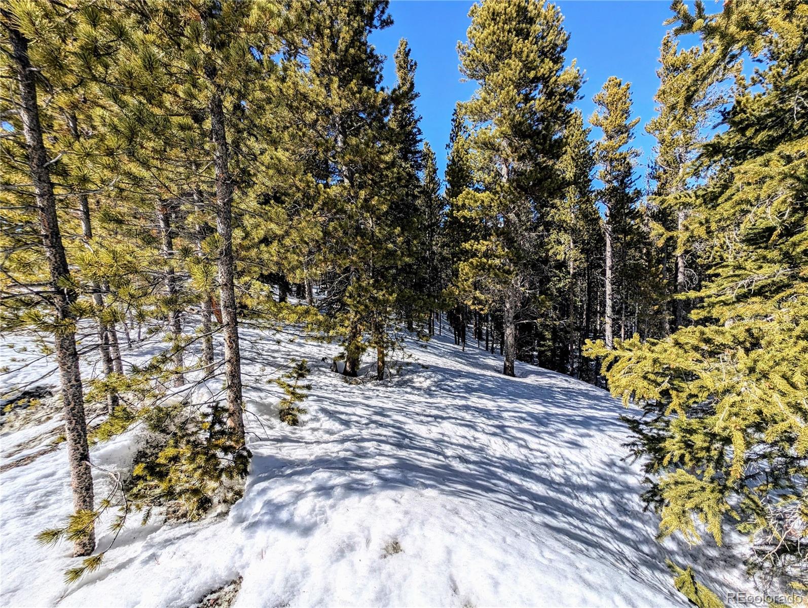 Lot 234 Alice Road Idaho Springs, CO 80452 - Photo 13 of 20