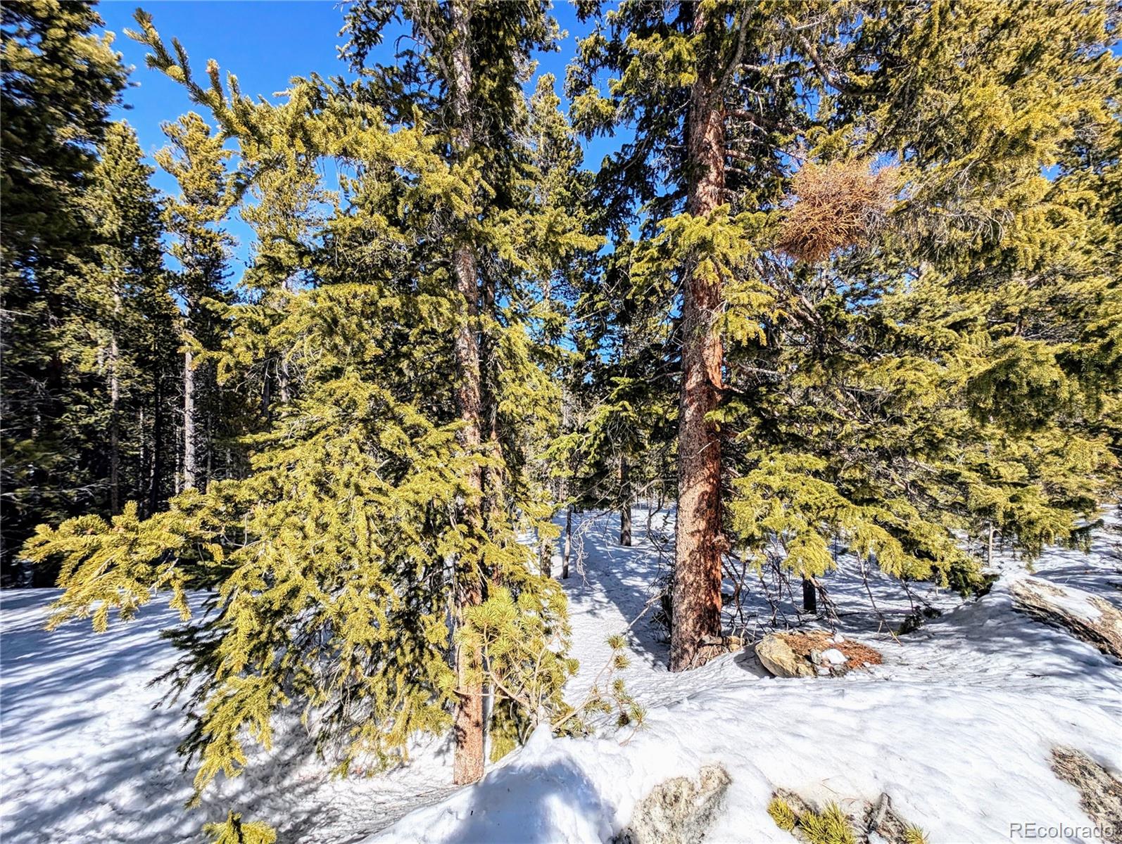 Lot 234 Alice Road Idaho Springs, CO 80452 - Photo 15 of 20