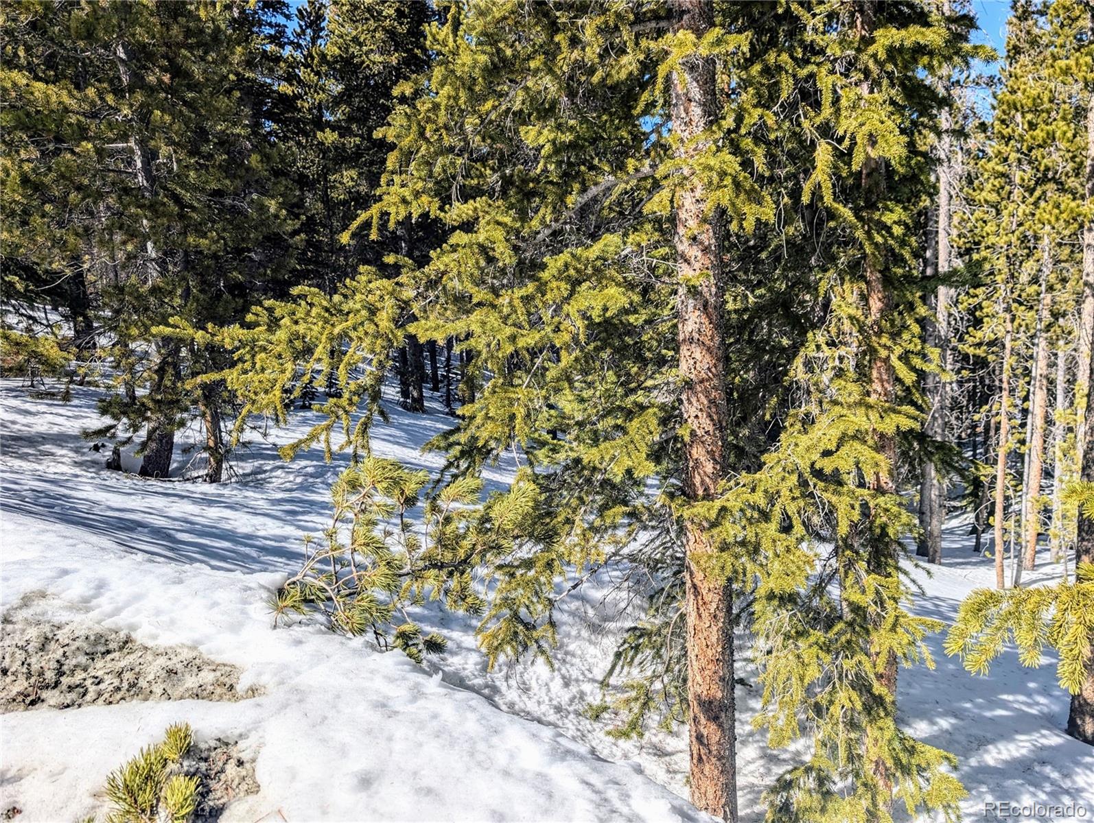 Lot 234 Alice Road Idaho Springs, CO 80452 - Photo 16 of 20