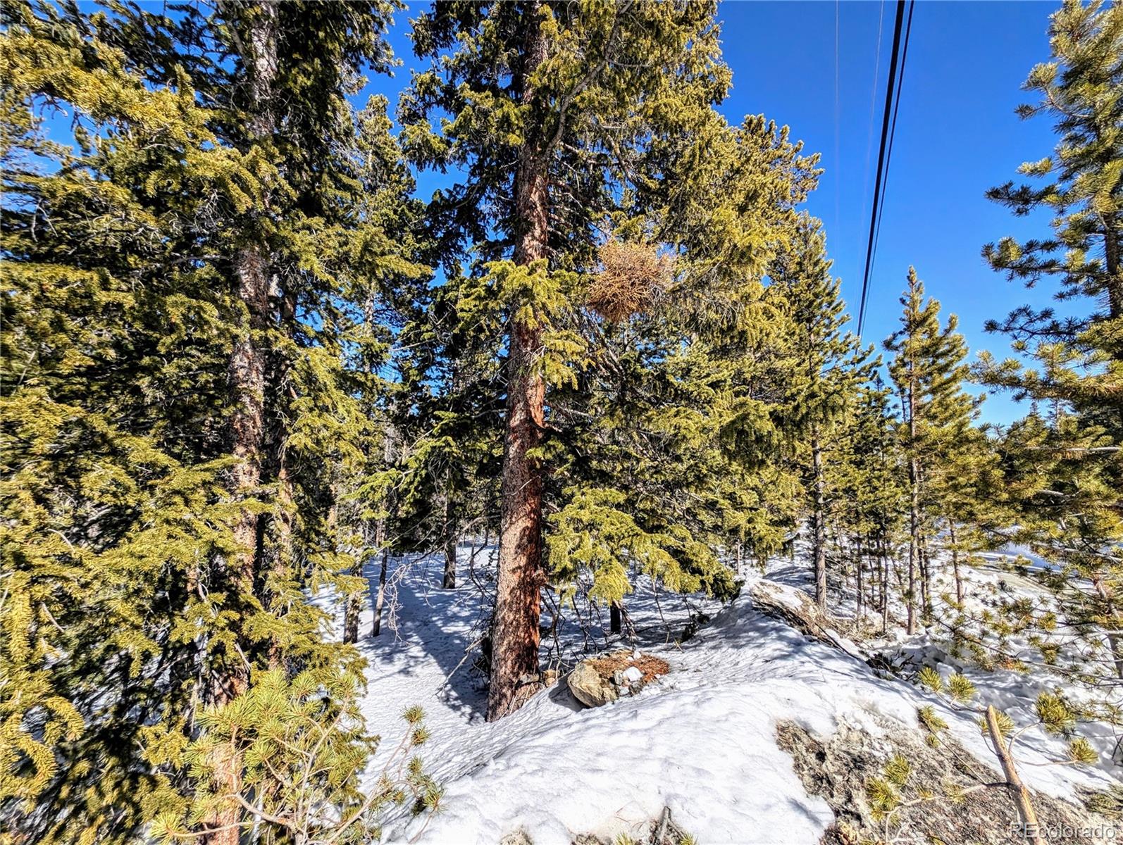 Lot 234 Alice Road Idaho Springs, CO 80452 - Photo 18 of 20