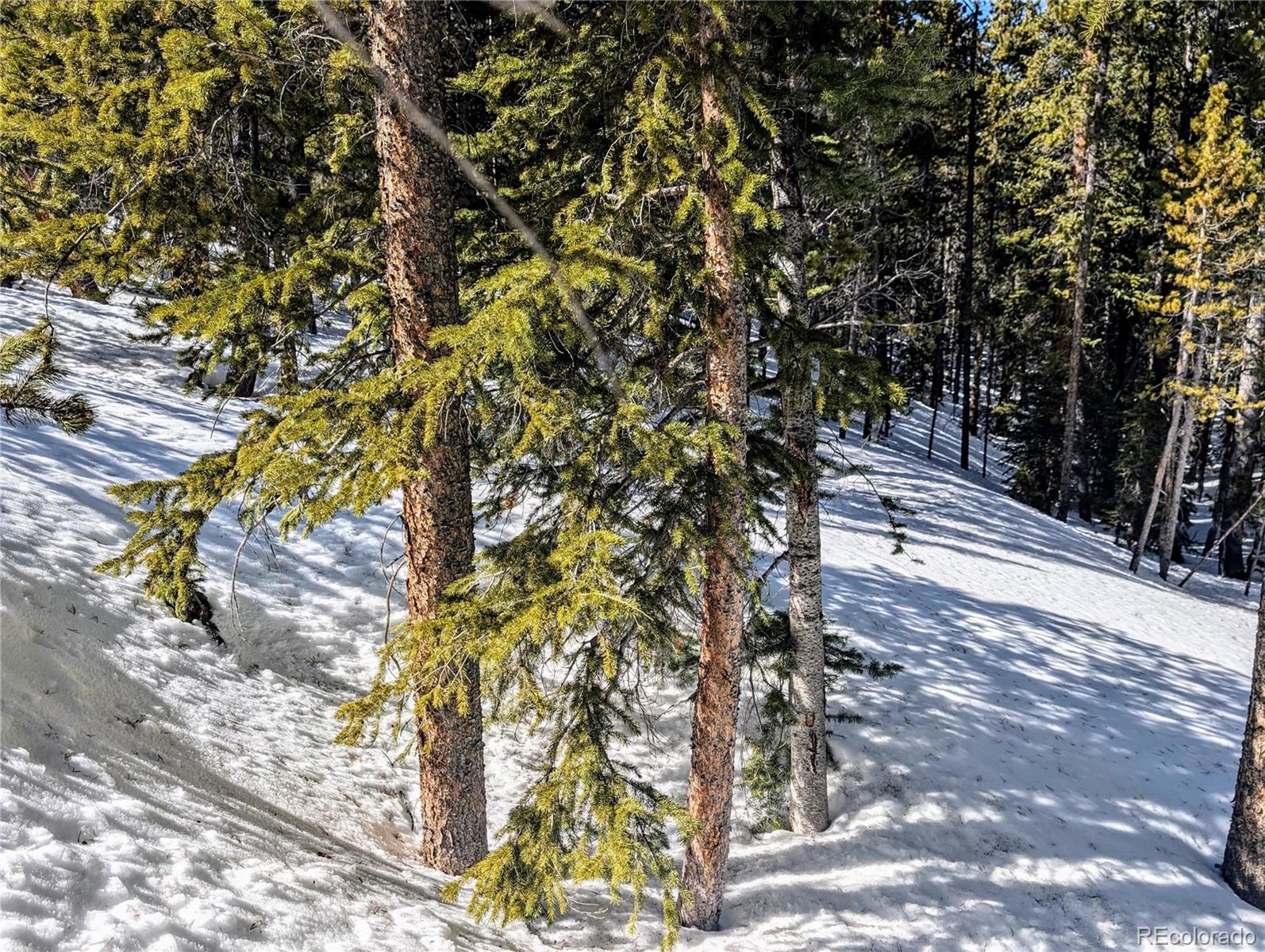 Lot 234 Alice Road Idaho Springs, CO 80452 - Photo 8 of 20