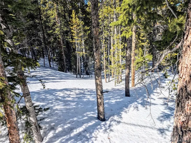 $39,000 | Lot 234 Alice Road, Idaho Springs, CO 80452