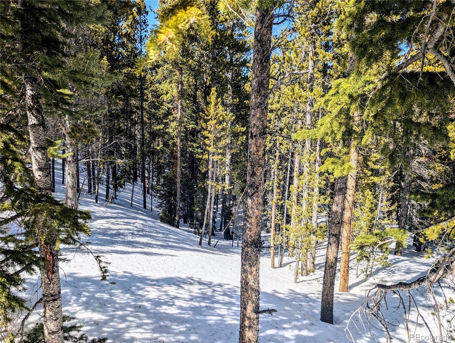 Lot 234 Alice Road Idaho Springs, CO 80452 - Photo 10 of 20