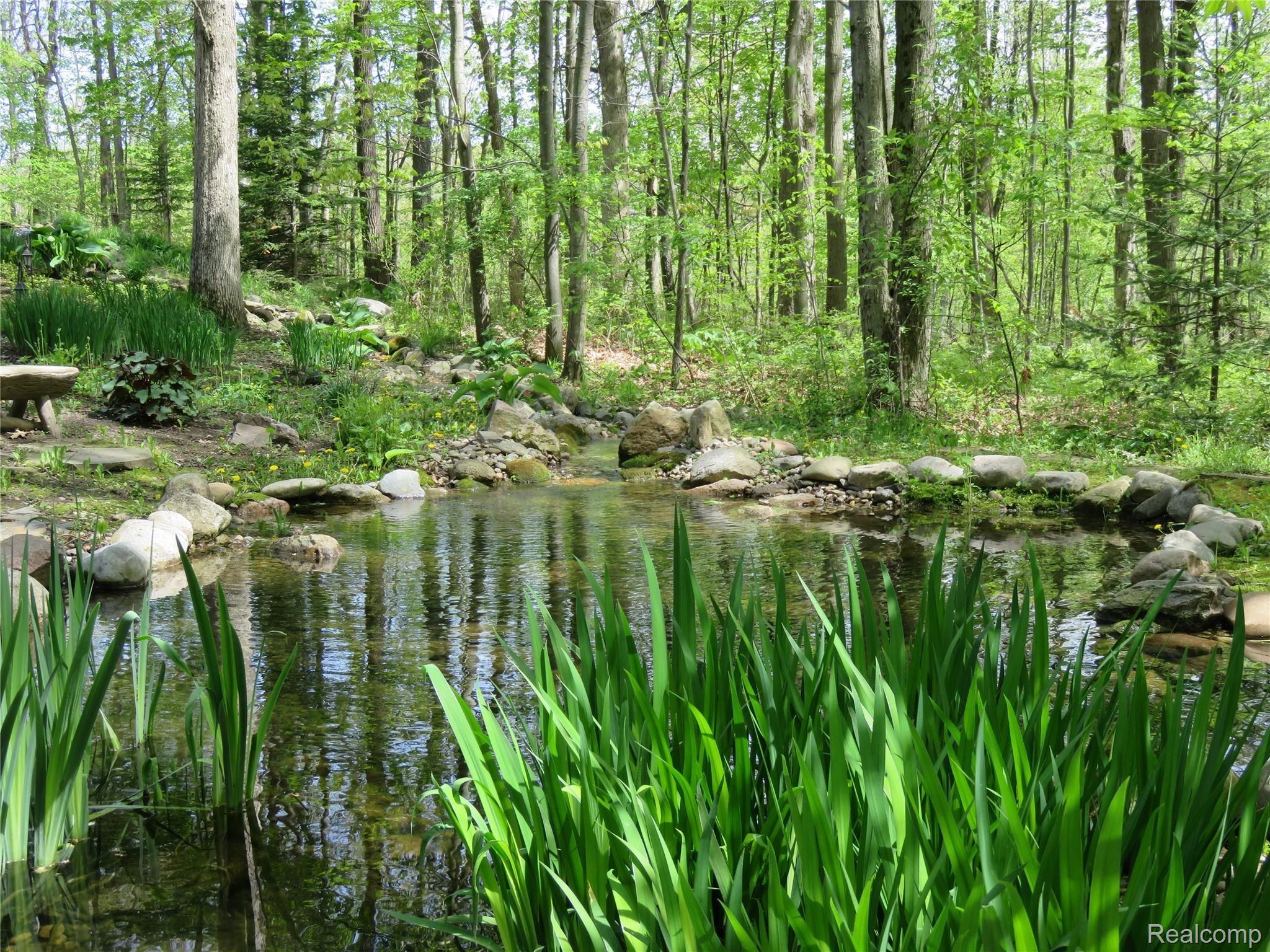 701 Argentine Road Howell, MI 48843 - Photo 44 of 45 Stream from Pond