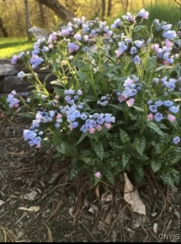 $219,900 | 22507 Highway 37, Pamelia, NY 13601