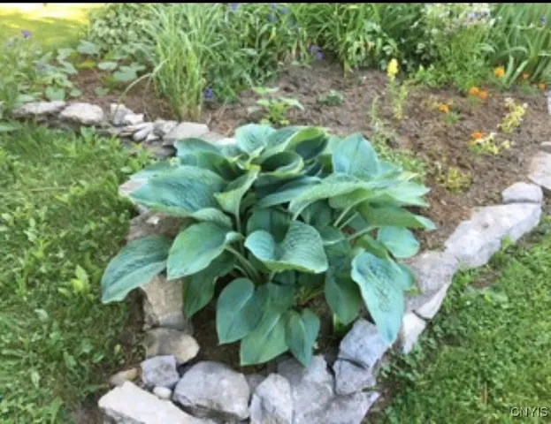 $219,900 | 22507 Highway 37, Pamelia, NY 13601