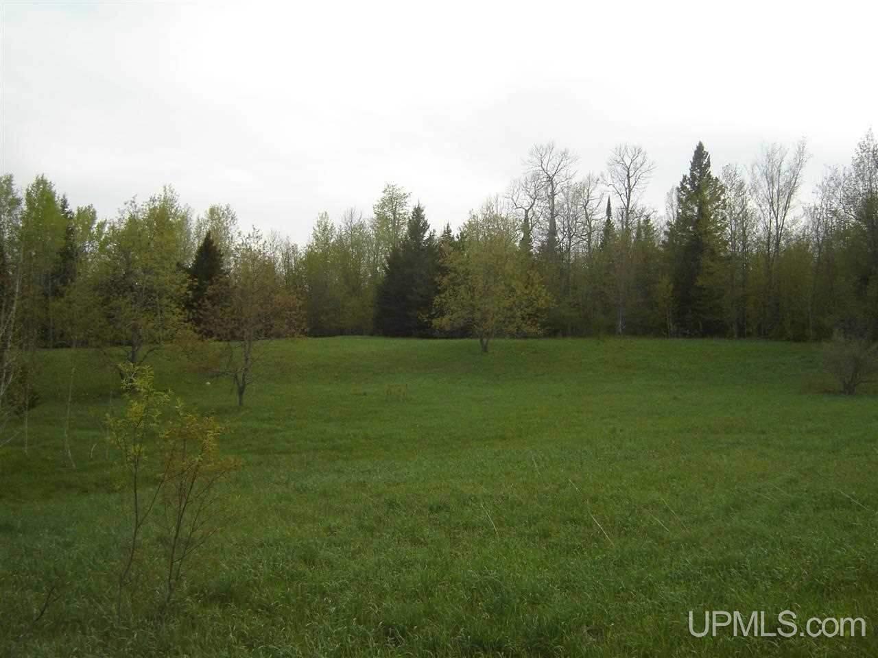 E3815 Nykanen Road Chatham, MI 49816 - Photo 14 of 46 Gallery Image 14