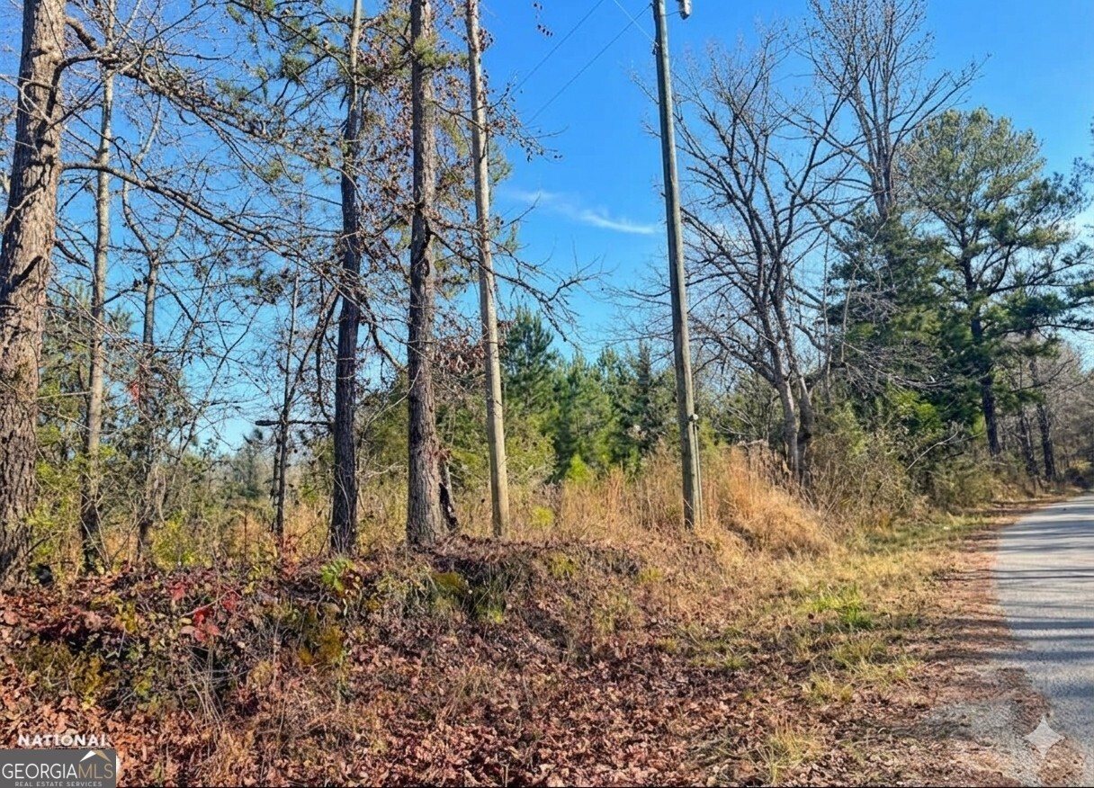 0 Hopeful Road, Unit LOT 2 Munford, AL 36268 - Photo 10 of 12