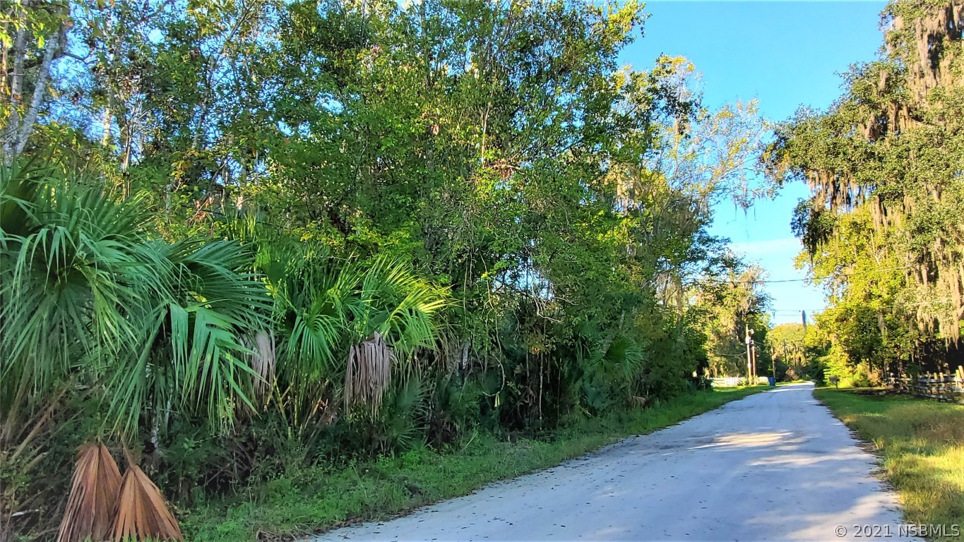 0 Ragis Road Edgewater, FL 32132 - Photo 1 of 5 Gallery Image 1