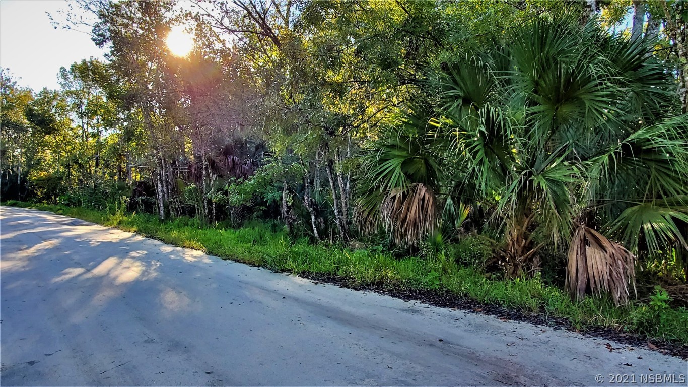 0 Ragis Road Edgewater, FL 32132 - Photo 2 of 5 Gallery Image 2