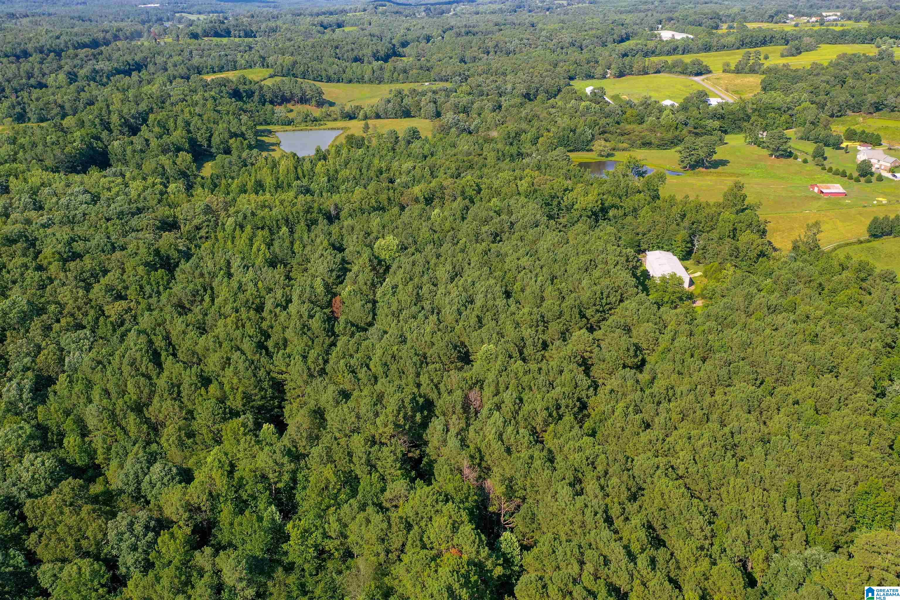 1031 Reneau Road Oneonta, AL 35121 - Photo 49 of 50