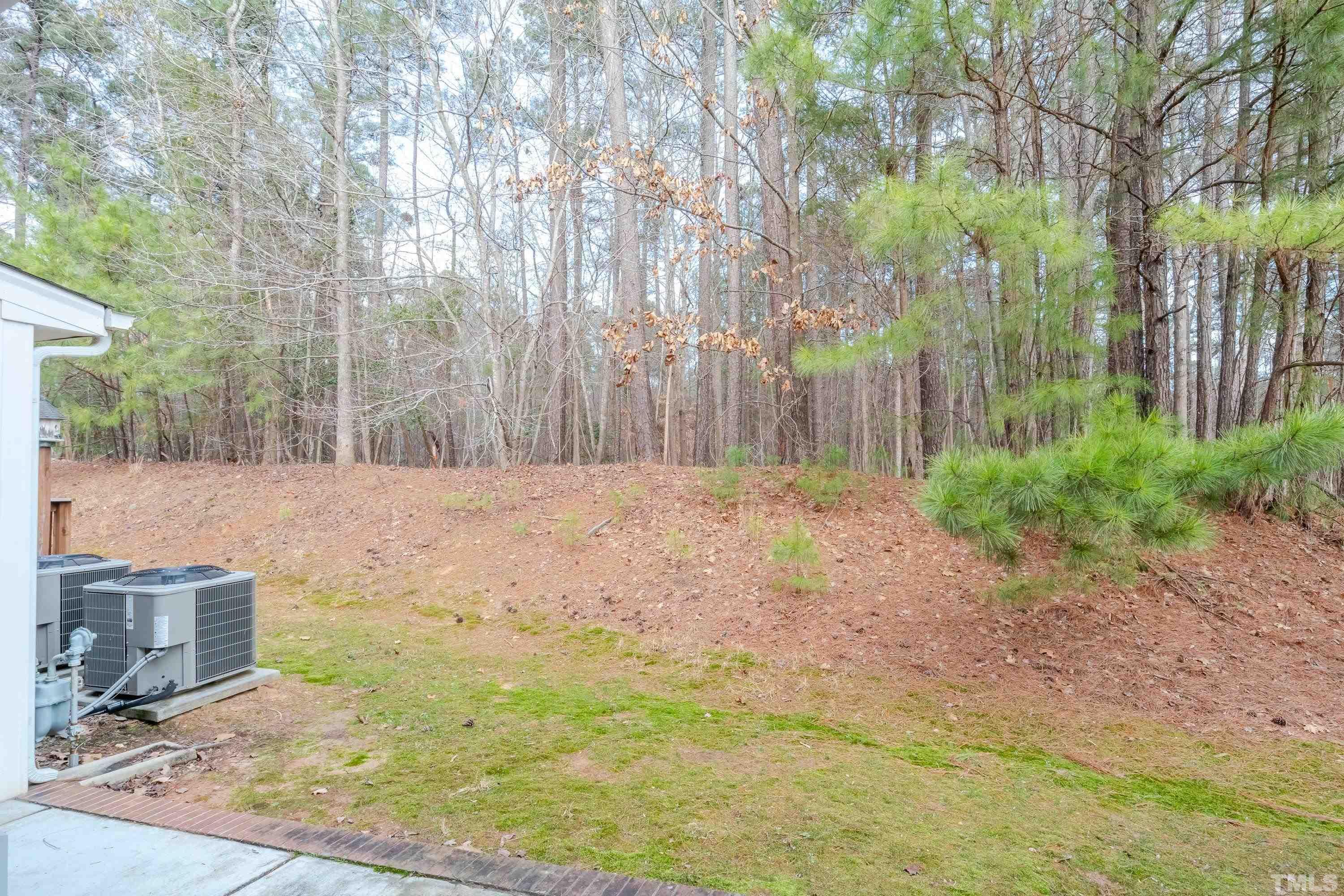 3045 Coxindale Drive Raleigh, NC 27615 - Photo 20 of 42 a view of yard
