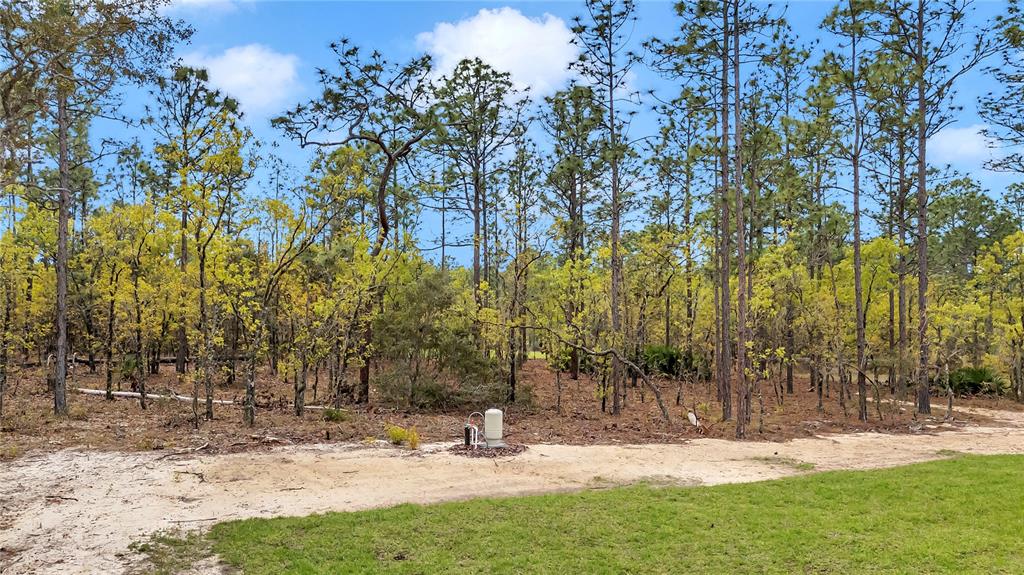 12220 Southwest 76th Lane Dunnellon, FL 34432 - Photo 50 of 50