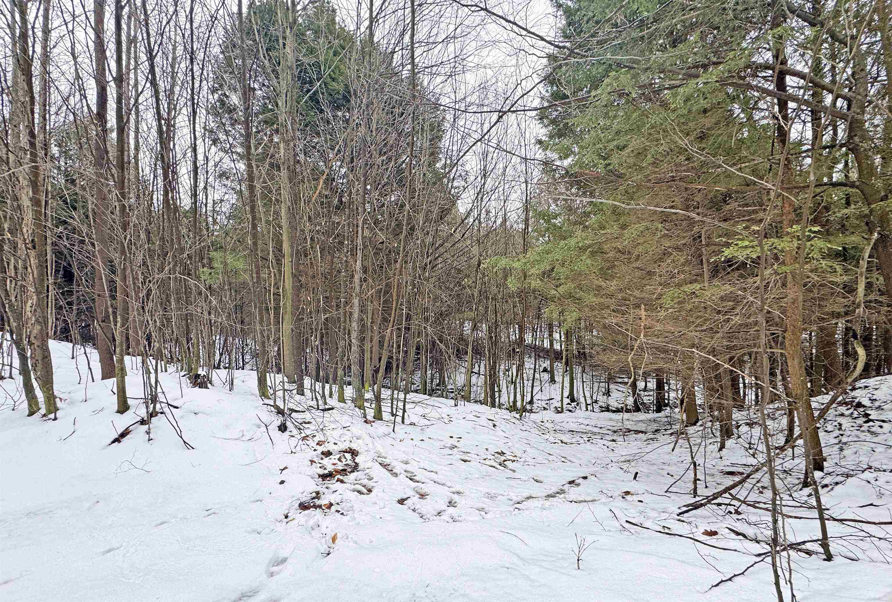 82-107 Moon Ridge Road, Unit LOT: 82,107 Onekama, MI 49675 - Photo 34 of 48