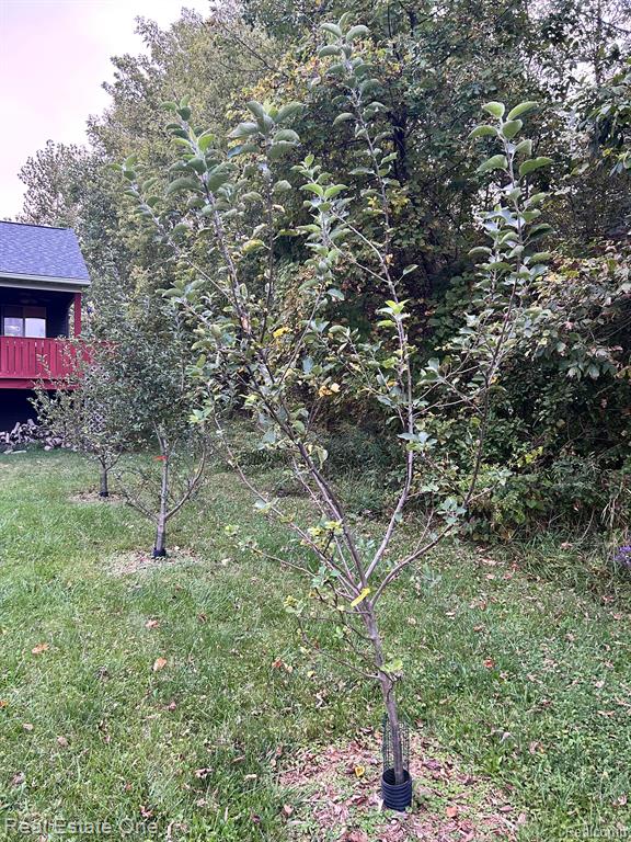 8348 North Genesee Road Mount Morris, MI 48458 - Photo 34 of 38