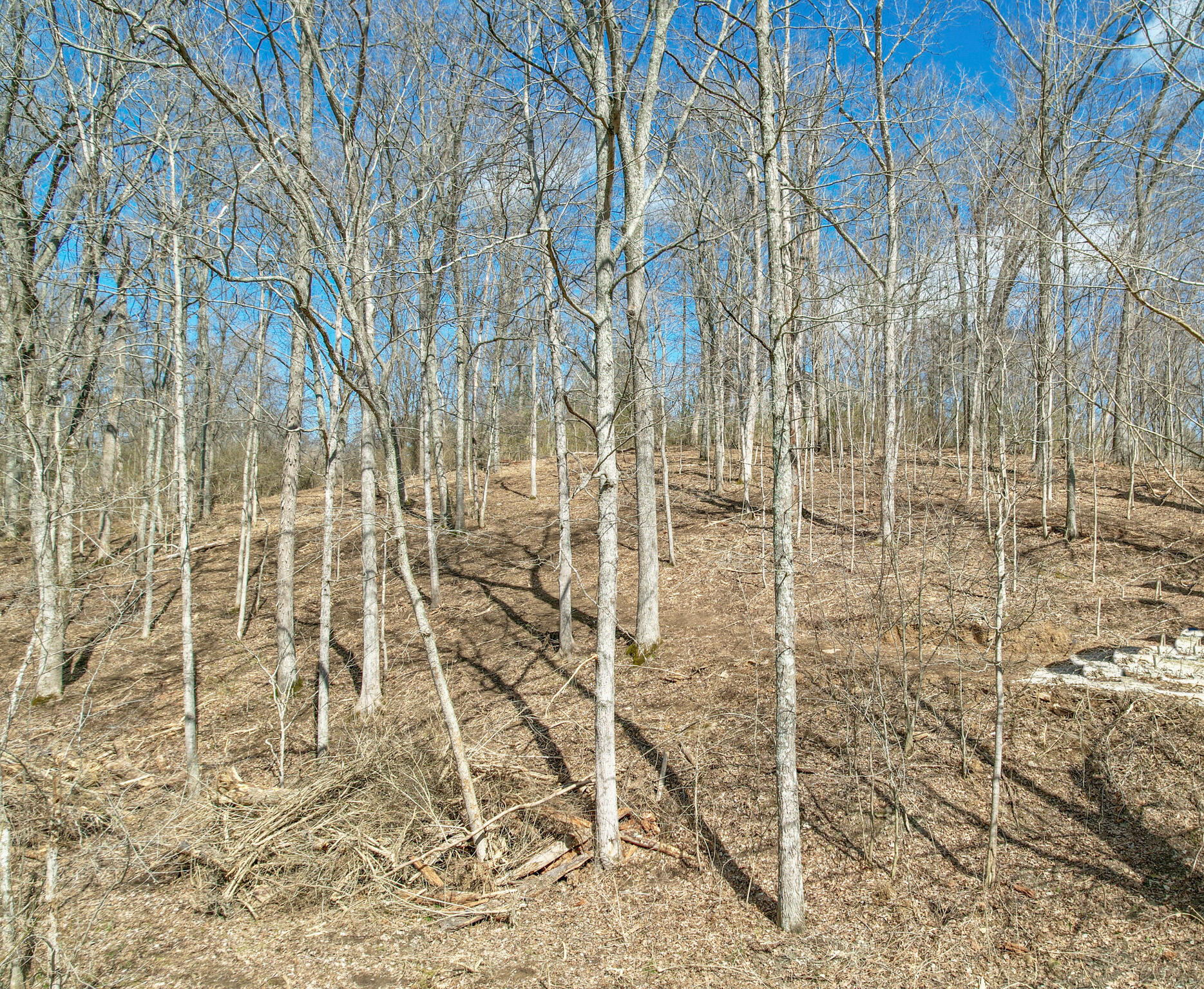 Lot 1 Idlewild Road Burlington, KY 41005 - Photo 10 of 24 Gallery Image 10
