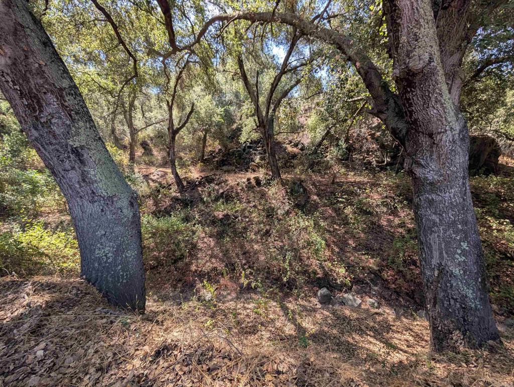 18868 Paradise Mountain Road Valley Center, CA 92082 - Photo 33 of 33