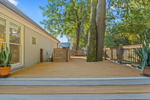 a view of backyard with large trees