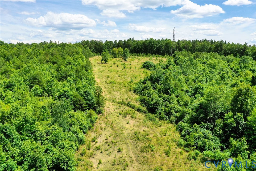 0 Mt Alto Road Esmont, VA 22937 - Photo 15 of 34