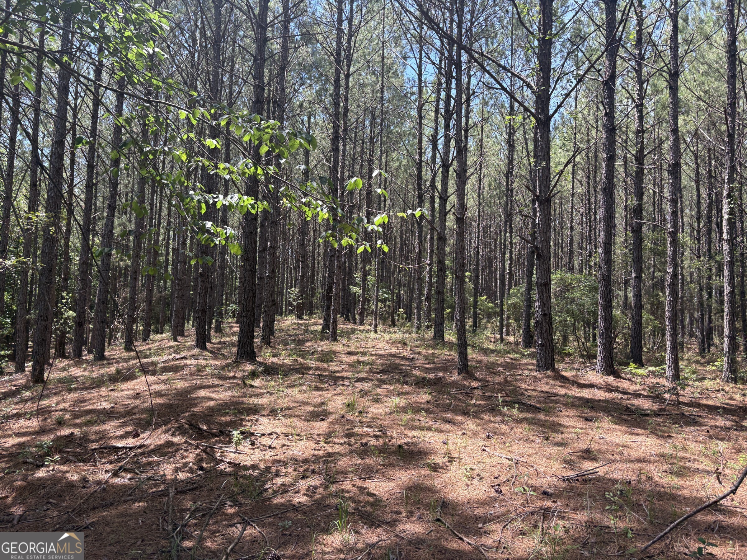 0 Wriley Road McIntyre, GA 31054 - Photo 5 of 29