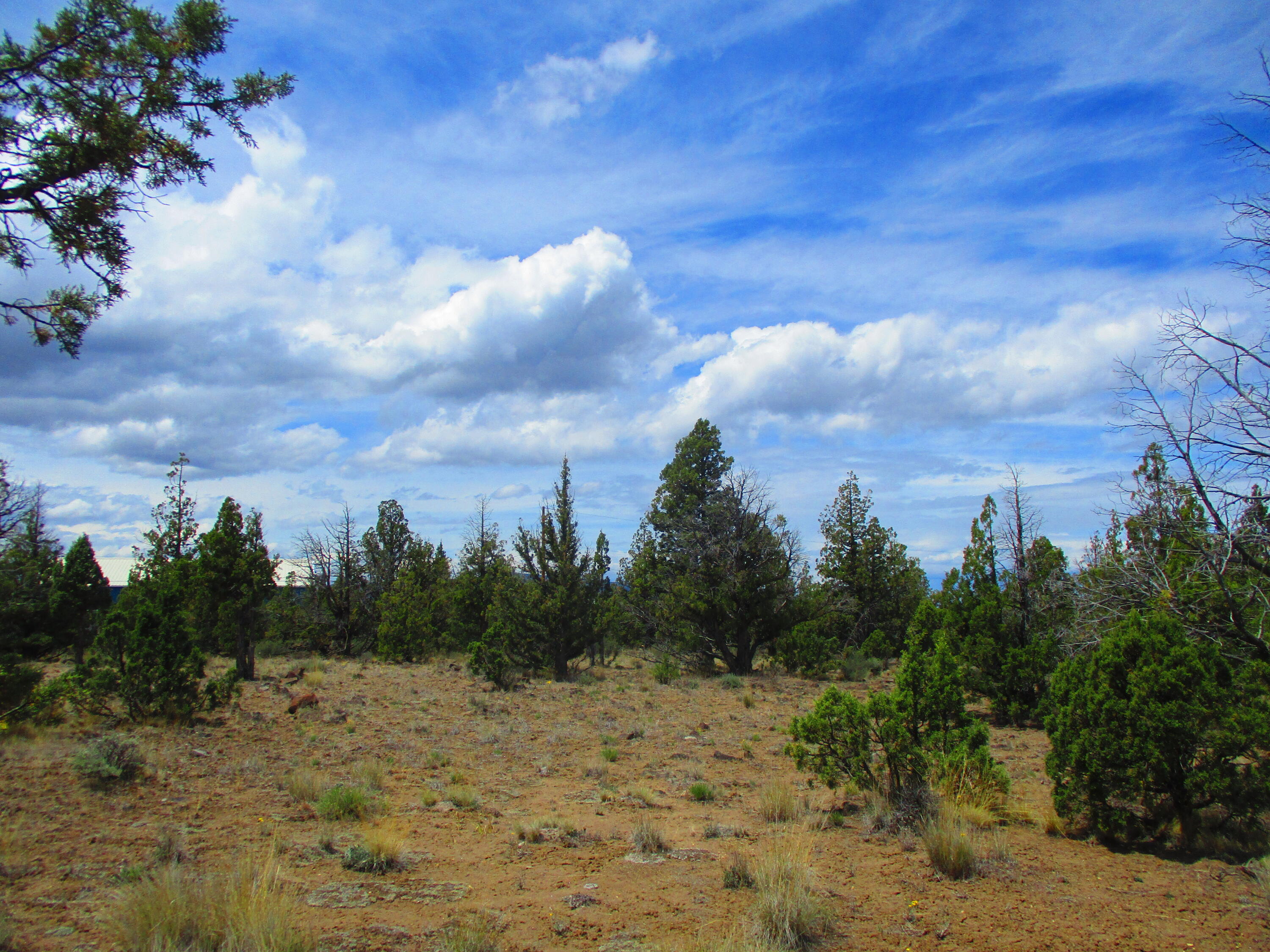 Tl7100 Southeast Cayuse Road Prineville, OR 97754 - Photo 4 of 12 4