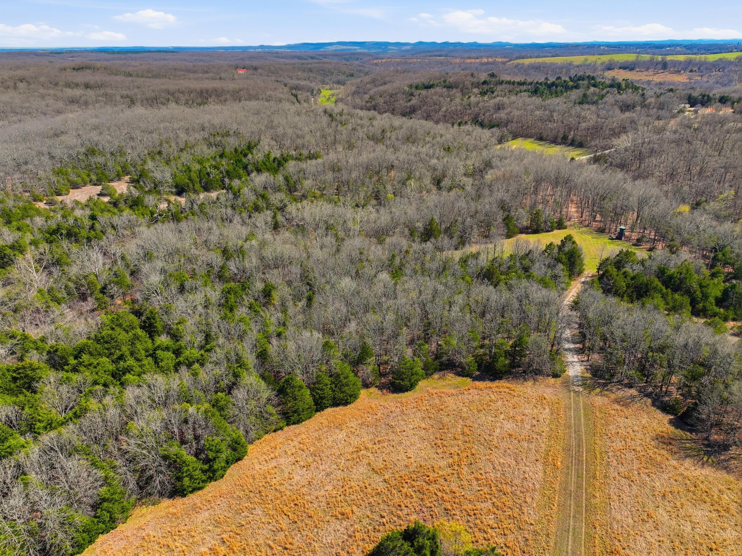 2480 County Road, Unit 317 Ava, MO 65608 - Photo 11 of 61 dji_0186
