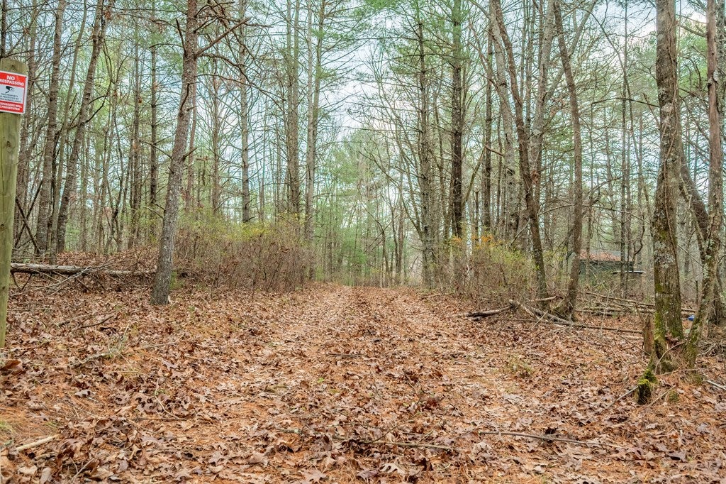 0 Marian Road Dugspur, VA 24325 - Photo 21 of 31 Gallery Image 21