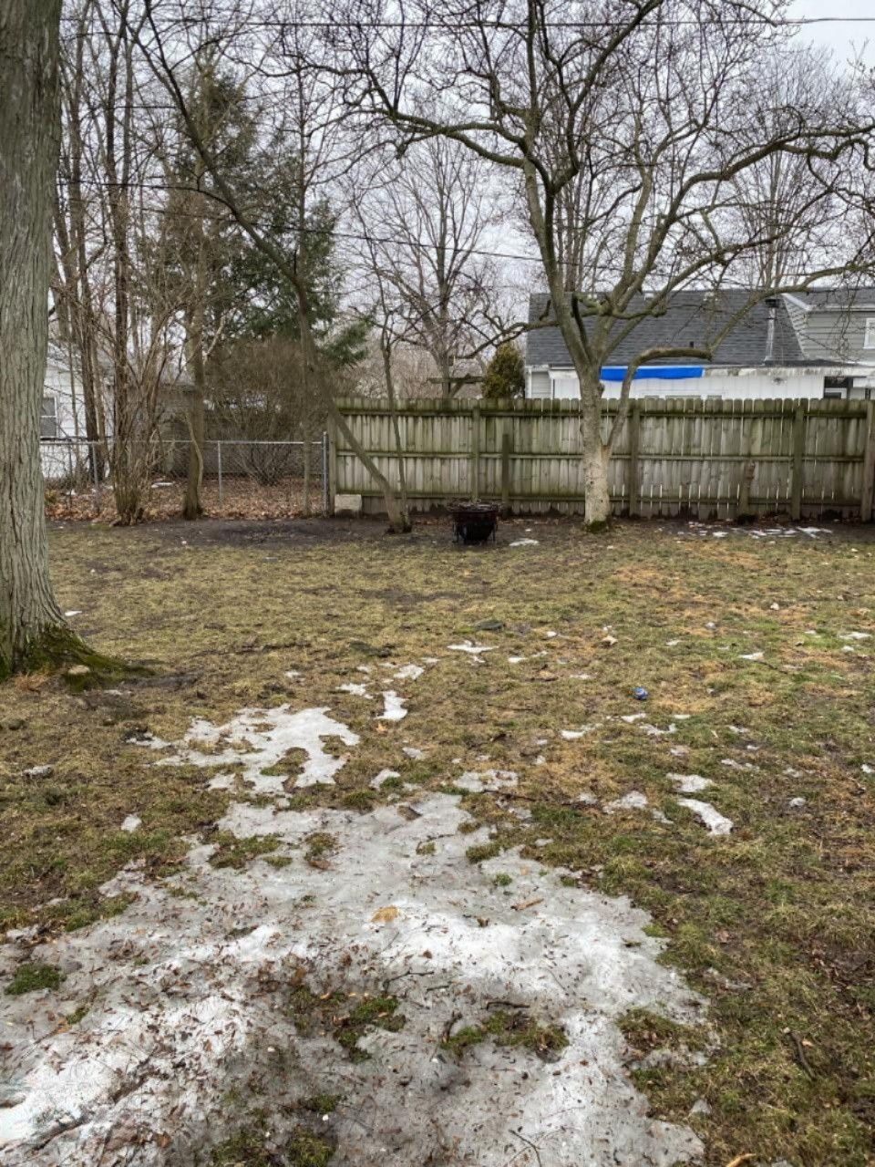 637 Constantine Street Three Rivers, MI 49093 - Photo 21 of 22 cons yard