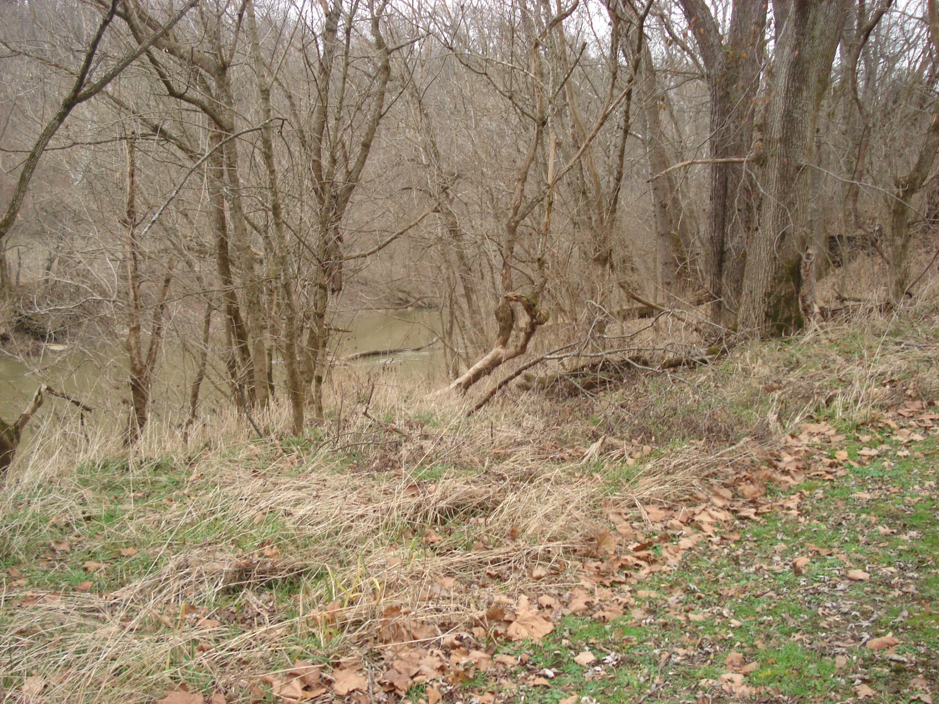 1470 Harding Road Mount Olivet, KY 41064 - Photo 5 of 23 DSC01000