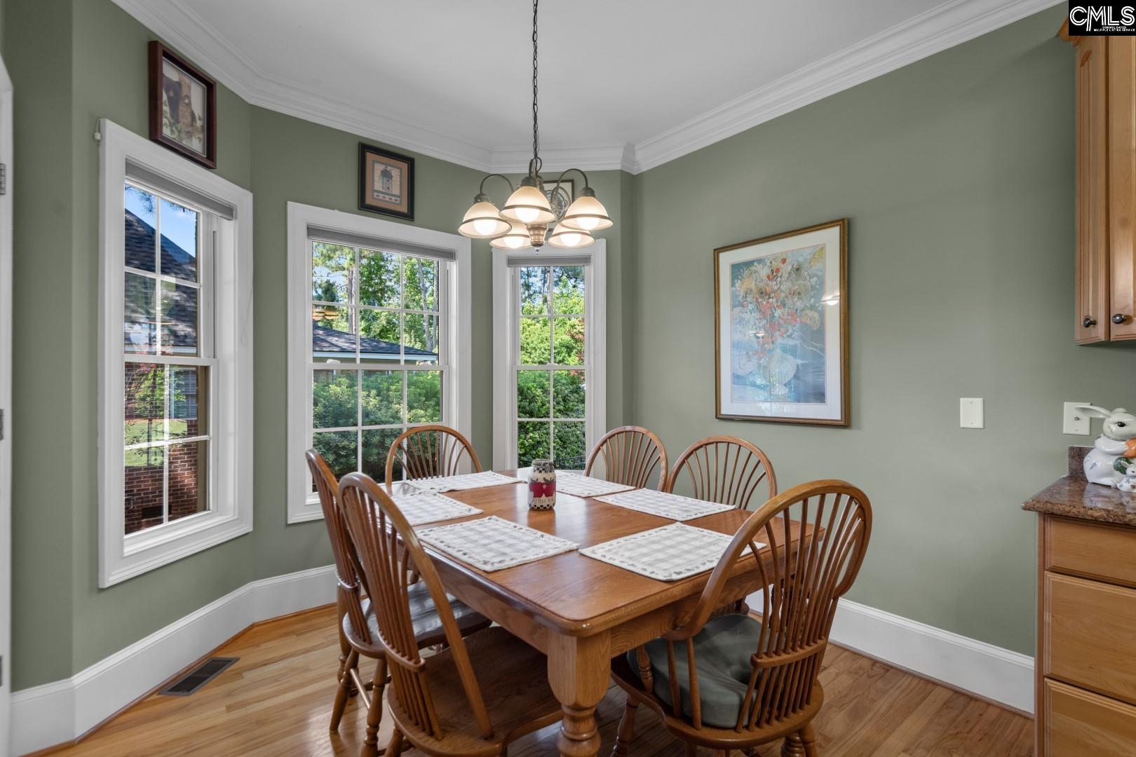 115 Pointe Overlook Drive Chapin, SC 29036 - Photo 18 of 45