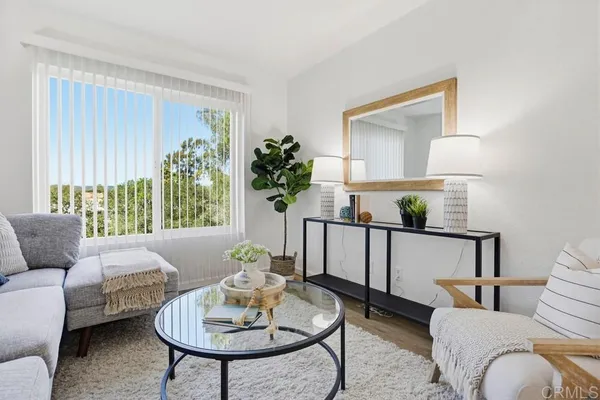 a living room with furniture and a potted plant