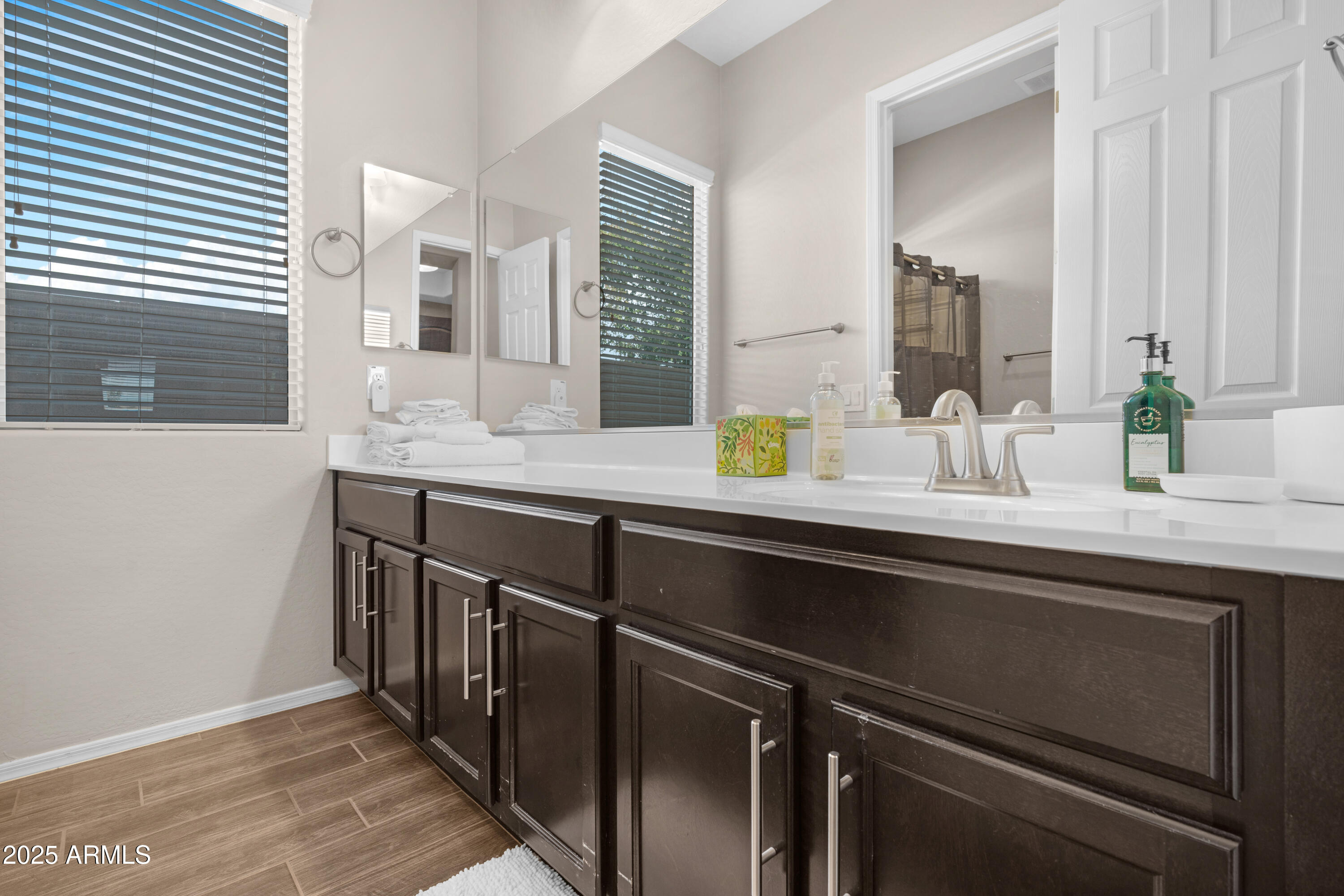 4341 South Mayfair Way Gilbert, AZ 85297 - Photo 25 of 39 Guest Full Bath 1