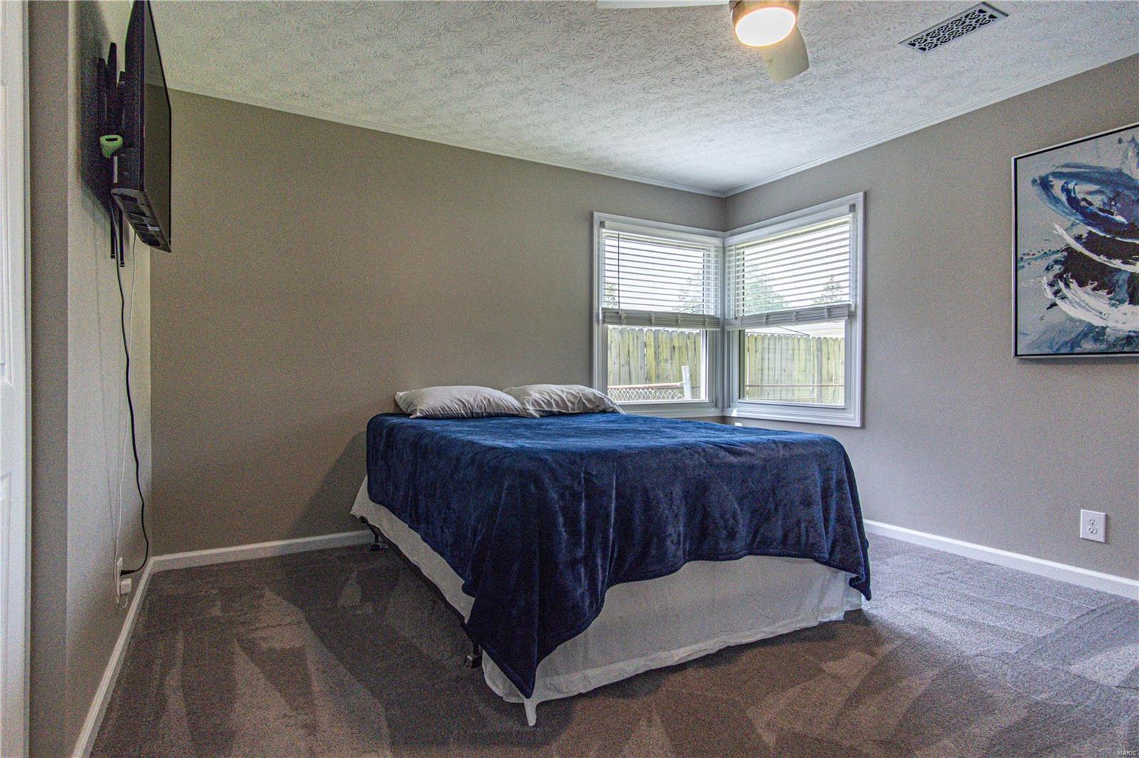 3213 Mill Springs Road Belleville, IL 62221 - Photo 27 of 38 Gallery Image 27