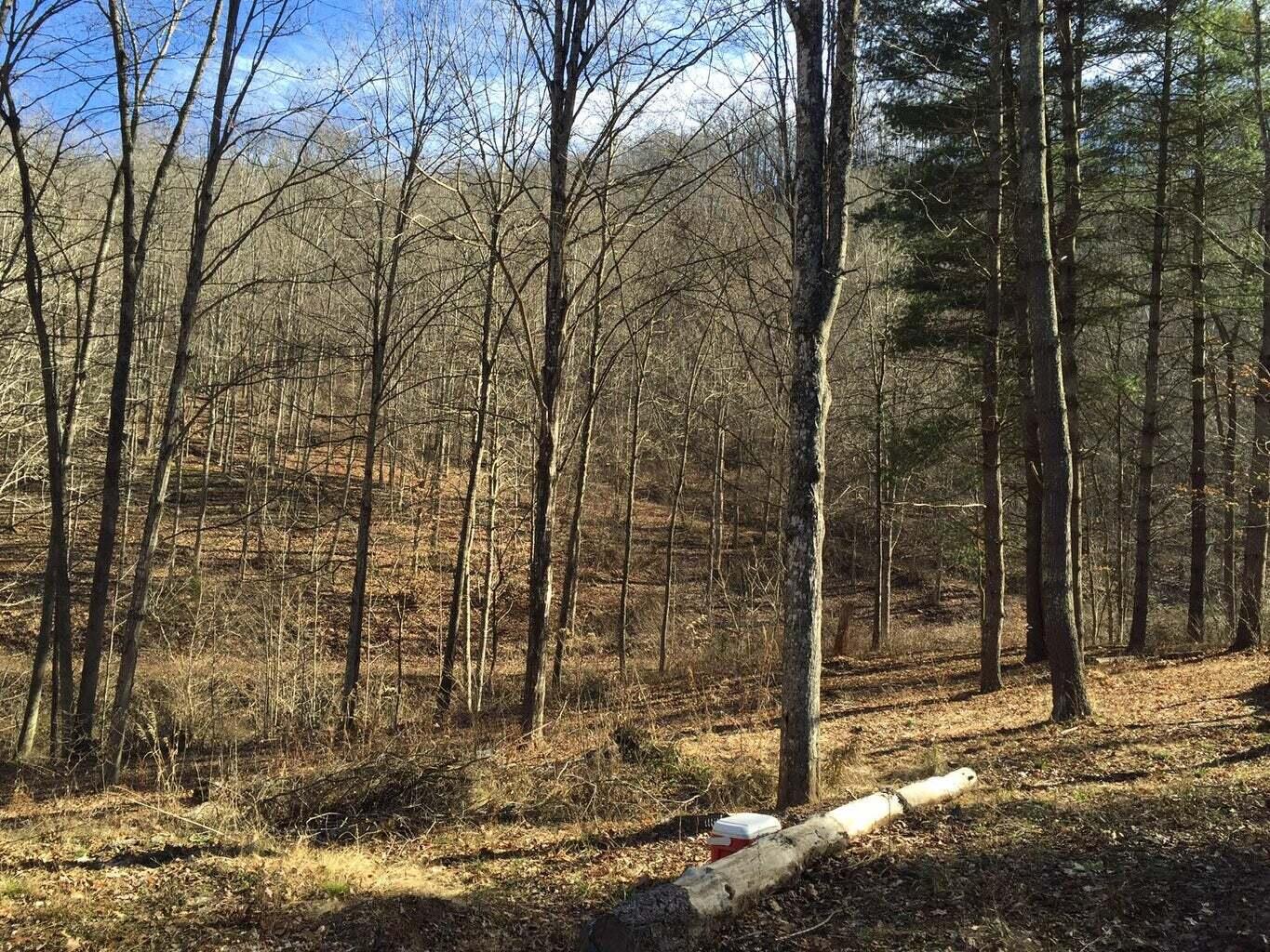 2757 Nickell Mill Road Ronceverte, WV 24970 - Photo 10 of 27 Gallery Image 10