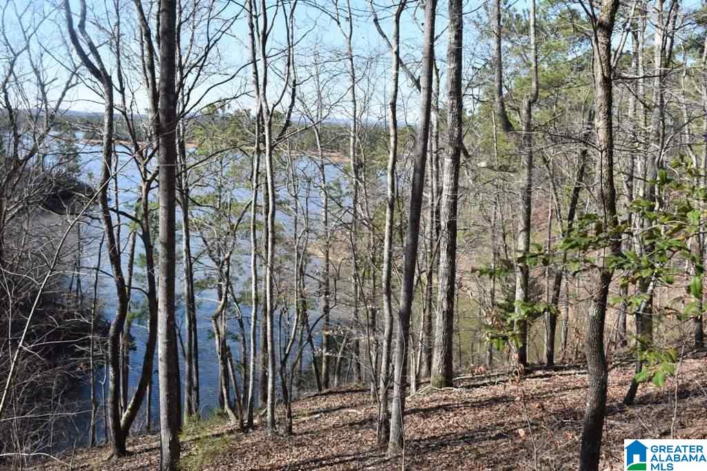 Lot 150 County Road 804, Unit 150 Wedowee, AL 36278 - Photo 6 of 8