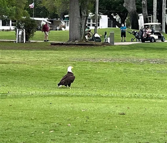 $279,900 | 1100 South Belcher Road, Unit 454, Largo, FL 33771