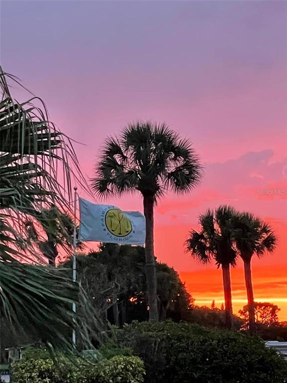 1100 South Belcher Road, Unit 454 Largo, FL 33771 - Photo 60 of 61 a street sign on a sidewalk next to a road