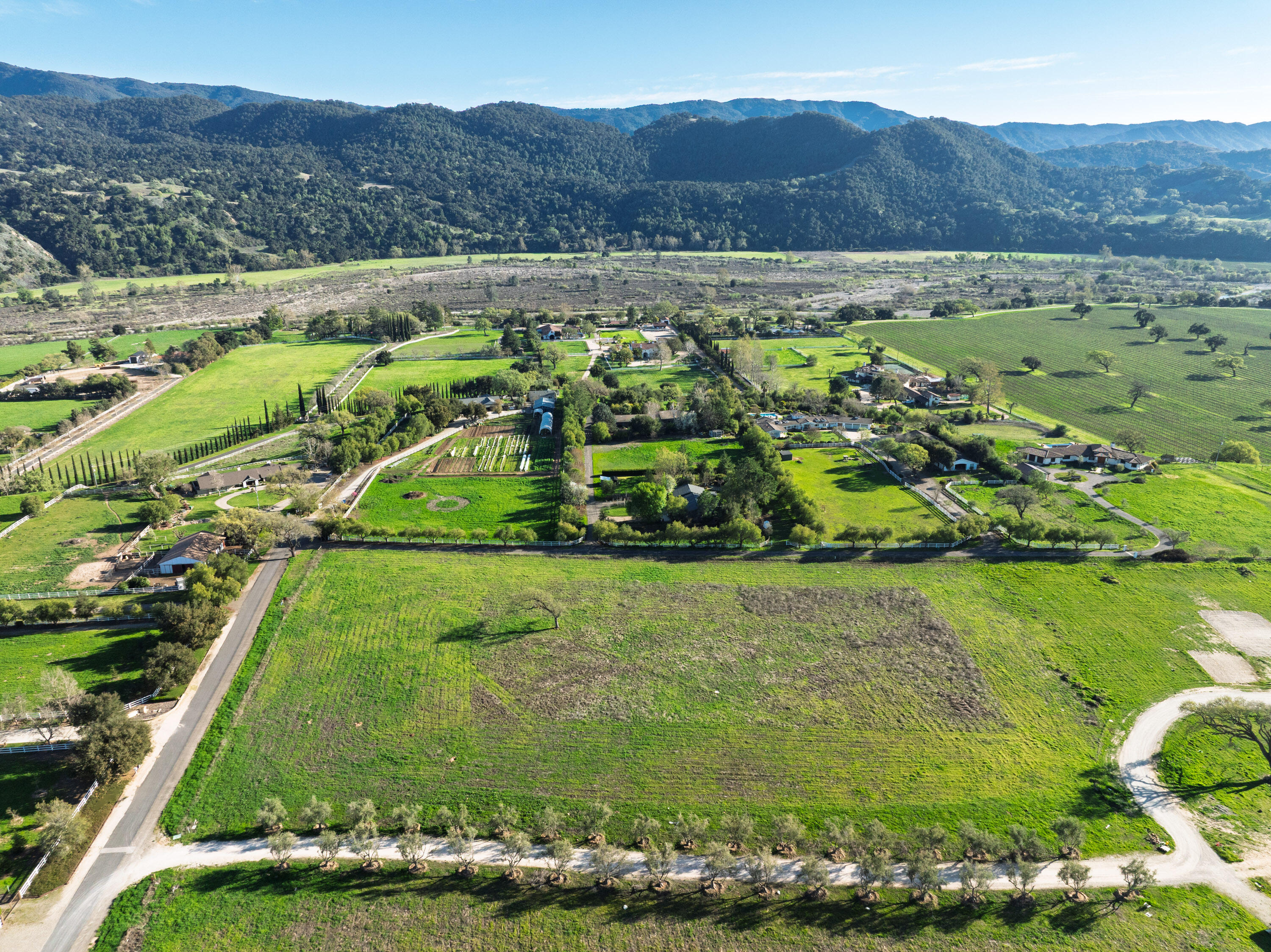 0 White Oak Road Santa Ynez, CA 93460 - Photo 11 of 13 0 White Oak Rd Web-2