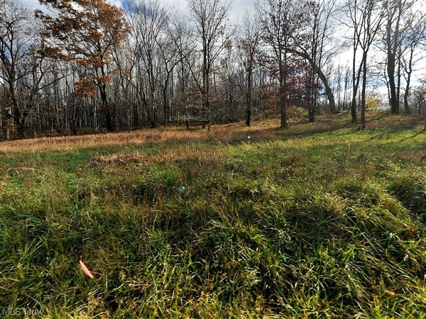6523 Parr Road Southeast Newark, OH 43056 - Photo 1 of 2 View of undeveloped land