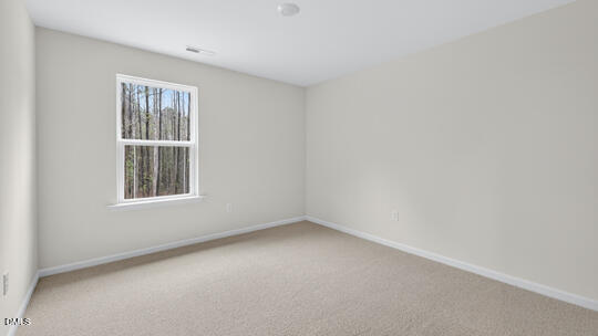913 Comice Pear Way Willow Spring, NC 27592 - Photo 19 of 27