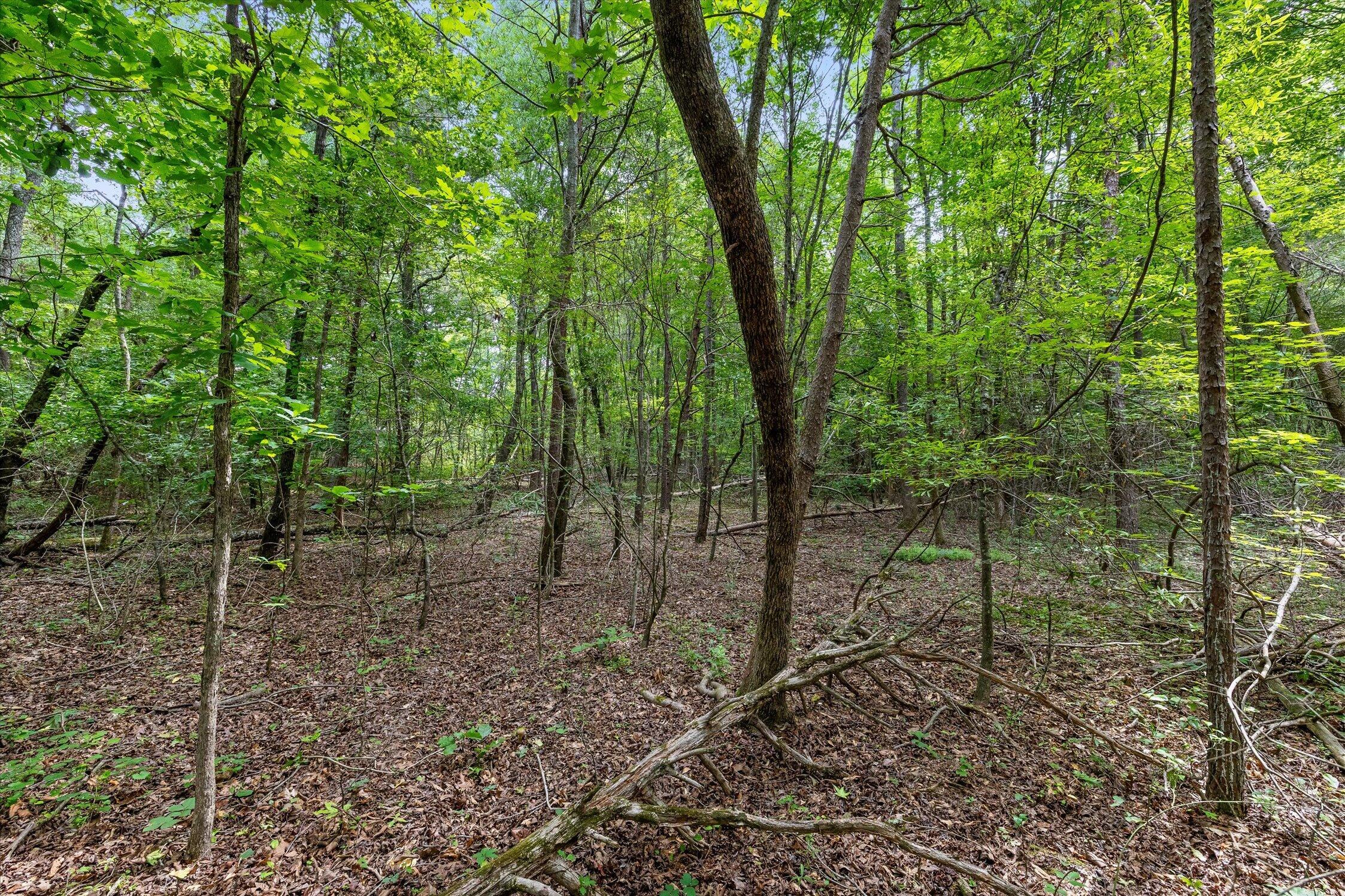 1906 Spradling Road Soddy-Daisy, TN 37379 - Photo 14 of 27 15-1906 Spradling-12