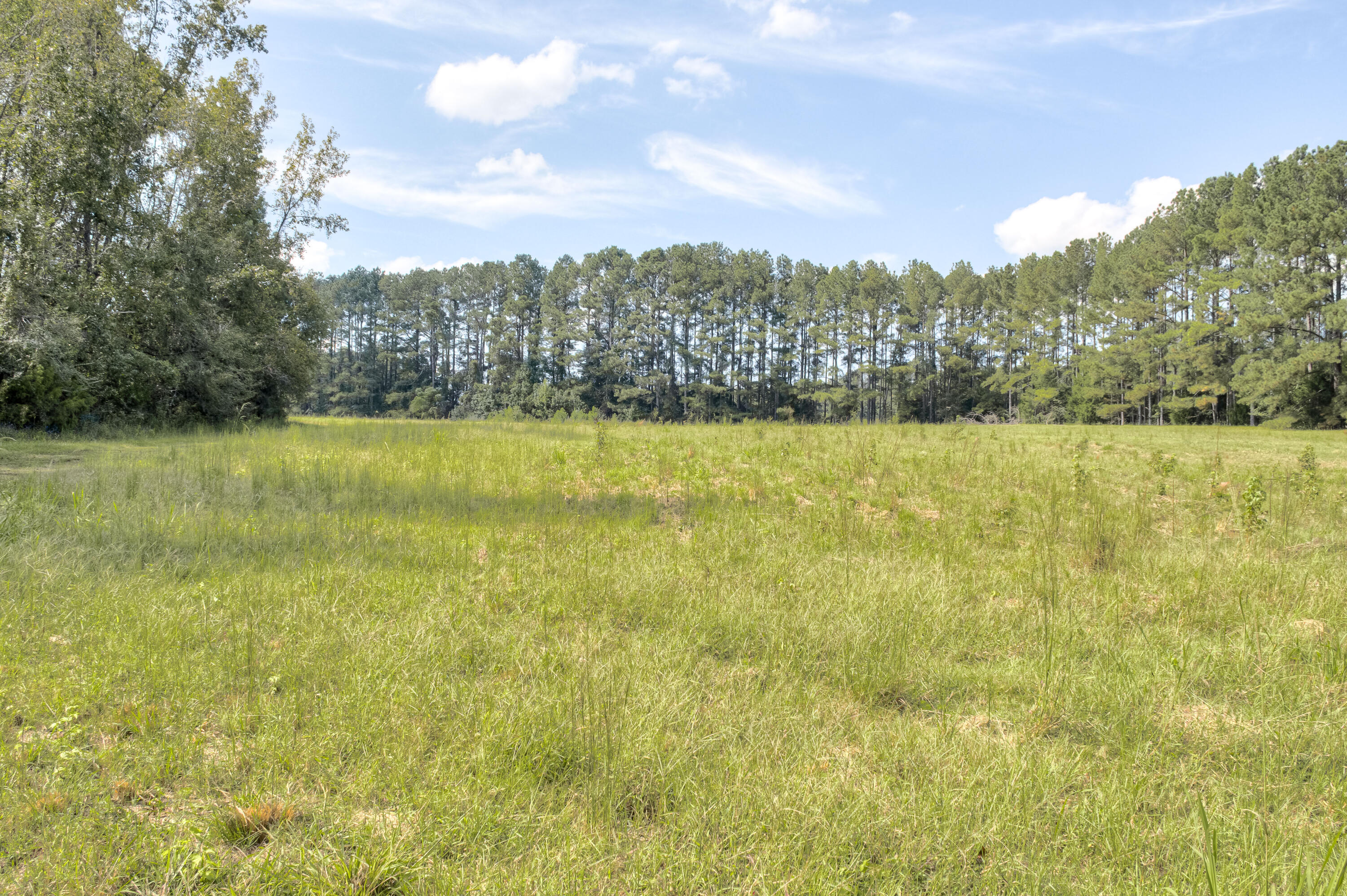 153 Rachel Road Ridge Spring, SC 29129 - Photo 18 of 57