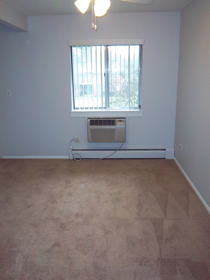 920 Ridge Square, Unit 205 Elk Grove Village, IL 60007 - Photo 7 of 10