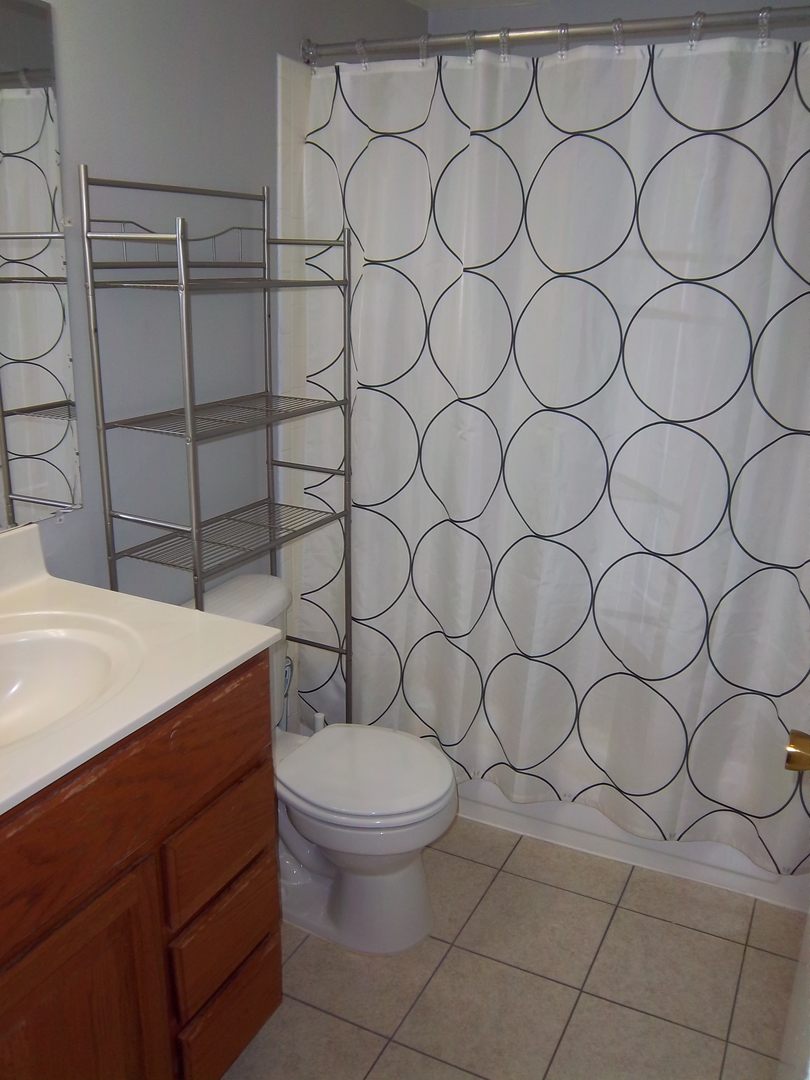920 Ridge Square, Unit 205 Elk Grove Village, IL 60007 - Photo 9 of 10