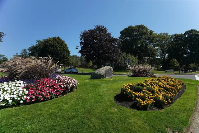 a garden with lots of plants and trees