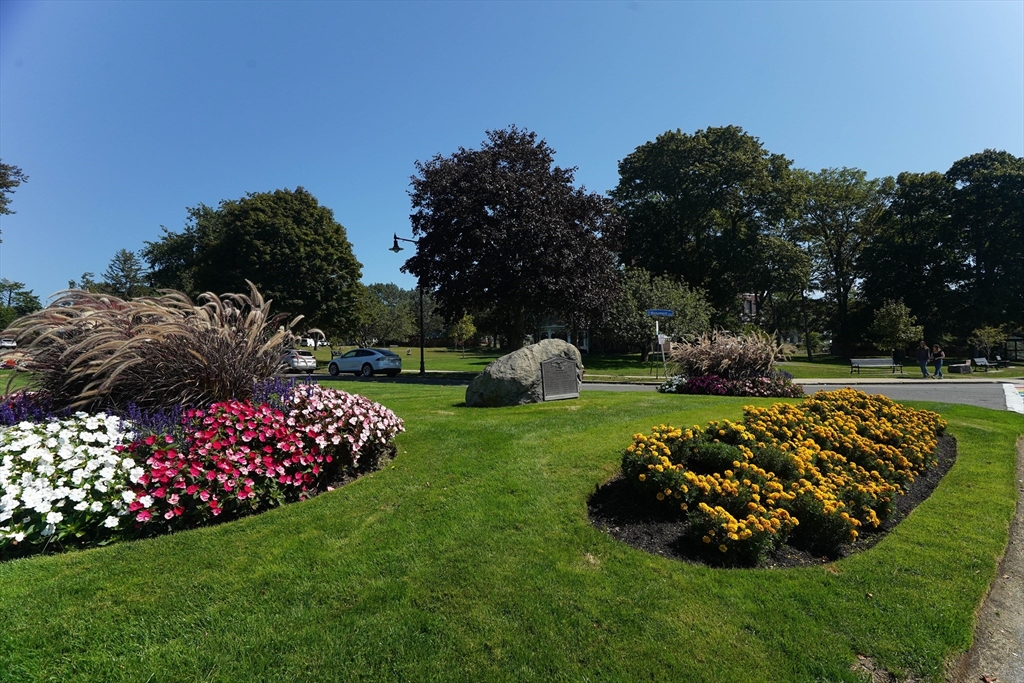 168 Humphrey Street, Unit 2 Swampscott, MA 01907 - Photo 24 of 26 a garden with lots of plants and trees