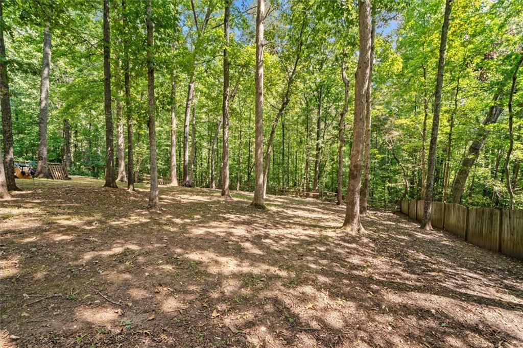 439 Fairview Road Ball Ground, GA 30107 - Photo 40 of 43 Gallery Image 40